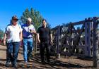 EL MINISTRO HALAVACS ACOMPAÑÓ EL REMATE GANADERO EN GENERAL SAN MARTÍN