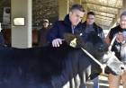 EL GOBERNADOR ZDERO ACOMPAÑÓ HOY A LAS CABAÑAS CHAQUEÑAS EN LA EXPOSICIÓN NACIONAL DE RAZAS DE CORRIENTES
