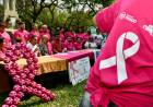 MES ROSA: EL GOBIERNO PROVINCIAL ANUNCIÓ AGENDA DE ACTIVIDADES PARA LA PREVENCIÓN Y DETECCIÓN TEMPRANA DEL CÁNCER DE MAMA