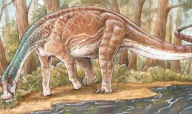 CIENTÍFICOS DEL CONICET DESCUBRIERON UNA NUEVA ESPECIE DE DINOSAURIO TITANOSAURIO 