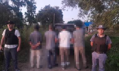 FAENARON UNA VACA DE MÁS DE 70 KILOGRAMOS Y TERMINARON DETENIDOS