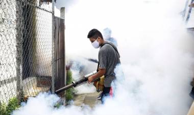 MÁS DE UN MILLAR DE CASOS DE DENGUE EN LA CIUDAD Y 17 MUNICIPIOS BONAERENSES EN ALERTA