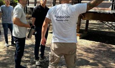 EL INFORME DE LA FUNDACIÓN PLANETA VIVO ACERCA DEL COMPLEJO ECOLÓGICO DE SAENZ PEÑA 