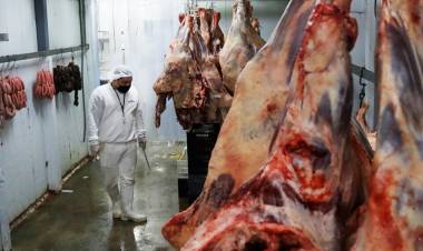 LAS VAQUITAS PARA AFUERA