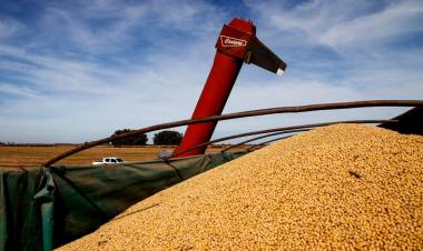 ¿CÓMO LE RESPONDERÁ AL AGRO A MILEI?