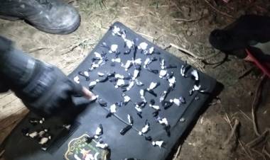 DIVISION CUERPO OPERACIONES MOTORIZADA ERA BUSCADO POR ROBO Y FUE CAPTURADO CON 49 DOSIS DE COCAINA 