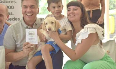 ARTICULACIÓN CON INSTITUCIONES: FORTALECIENDO EL ACOMPAÑAMIENTO A NIÑOS CON DISCAPACIDAD 