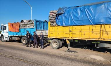 VILLA ÁNGELA: POLICÍA CAMINERA INTERVIENE UNA CARGA FORESTAL POR ANOMALÍAS EN SUS DOCUMENTACIONES
