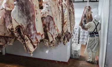 CAE EL CONSUMO DE CARNE Y CRECE LA EXPORTACIÓN