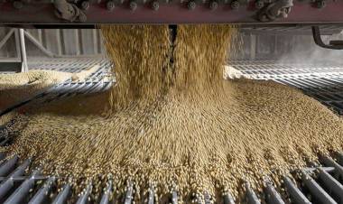 EL INGRESO DE DIVISAS POR EXPORTACIONES DEL AGRO CRECIÓ 61% EN EL PRIMER TRIMESTRE