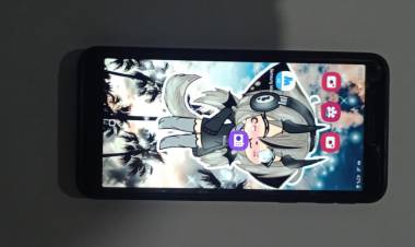 DETIENEN A UN JOVEN QUE LE ARREBATO EL CELULAR Y DINERO A UNA MUJER 