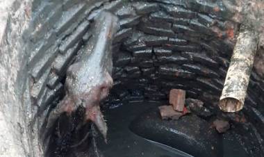 VILLA ÁNGELA: BOMBEROS RESCATARON A UN CABALLO QUE CAYÓ EN UN POZO