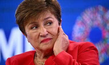 EL FMI EN EL ESPEJO DE CAPUTO: NO HAY PLATA