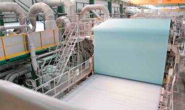 EL SECTOR DE CELULOSA Y PAPEL, EMPUJADO POR EL COMERCIO DIGITAL