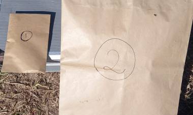 AVANCES EN LA INVESTIGACIÓN: CASO ERICA TORRES: SECUESTRAN UNA ARMA BLANCA POR SER DE INTERES EN LA CAUSA