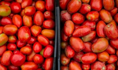EL TOMATE, MÁS CARO QUE EL ASADO