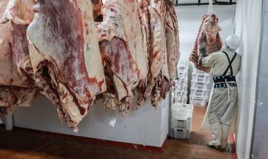 MÁS CARNE FOR EXPORT