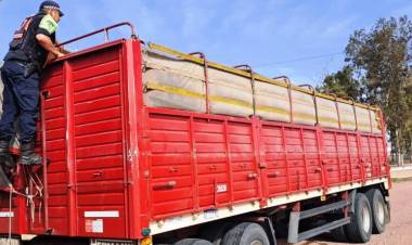 CAMINERA SECUESTRÓ UN CAMIÓN CON IRREGULARIDADES Y UN AUTO ADULTERADO EN CHARATA