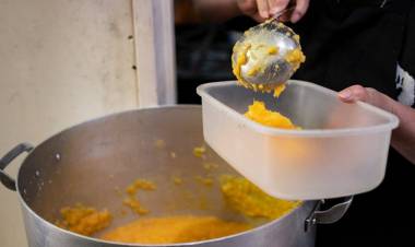 OBISPOS Y CURAS CONTRA EL MODELO DE LA MOTOSIERRA