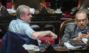 TRAS LA HUELLA DE LA PATA POLÍTICA DEL ATENTADO CONTRA CRISTINA KIRCHNER