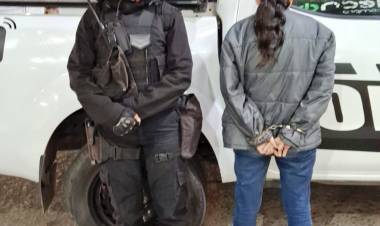 EN CONTROLES DETIENEN A UNA PERSONA BUSCADA POR LA JUSTICIA  