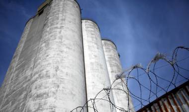 MIENTRAS MILEI QUIERE EL NOBEL, LA INDUSTRIA SE DESPLOMA