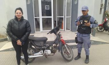 VILLA ANGELA: ROBARON UNA MOTO Y LA ABANDONARON ENTRE LAS MALEZAS