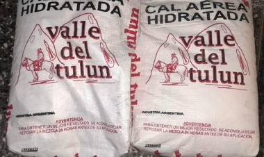 VILLA ÁNGELA: FUE PRESO POR ROBAR DOS BOLSAS DE CAL     