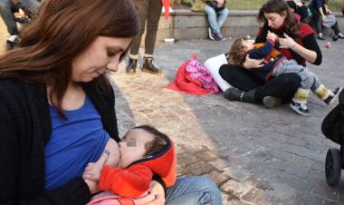 PROMOCIÓN DE LA LACTANCIA MATERNA, OTRA POLÍTICA PÚBLICA QUE MILEI INTERRUMPIÓ