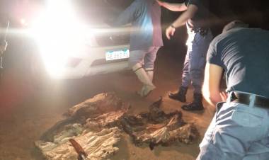 DEMORAN A UN HOMBRE CON CUERO DE OVEJAS