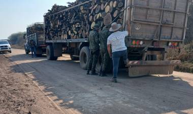 RETIENEN CAMIÓN CON 20 MIL KILOGRAMOS DE LEÑA MEZCLA
