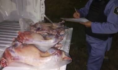 SECUESTRAN CARNE NO APTA PARA CONSUMO