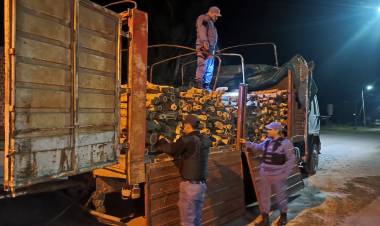 SECUESTRAN 500 POSTES DE MADERA ITIN O CARANDA