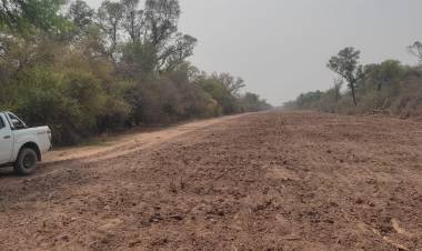 EL GOBIERNO PROVINCIAL TRABAJA EN LA APERTURA DE UN CAMINO EN EL IMPENETRABLE CHAQUEÑO  