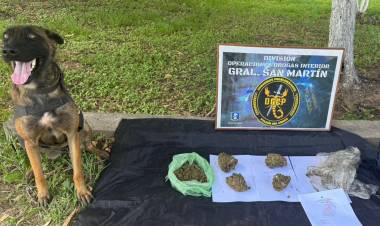 INCAUTAN MARIHUANA EN COLECTIVO DE LARGA DISTANCIA