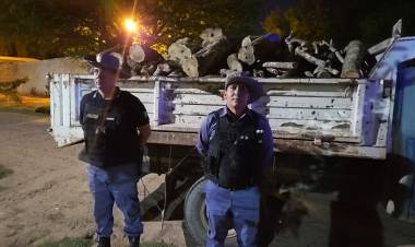 DETIENEN A UN HOMBRE CON PEDIDO, SECUESTRAN SEIS TONELADAS DE MADERA E INCAUTAN PLANTA DE MARIHUANA