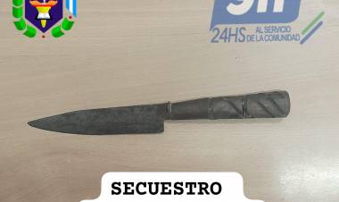 DOS APREHENDIDOS POR ROBO A UNA AVÍCOLA, UNO POR PROMOVER DESORDEN Y UN ANIMAL VACUNO SECUESTRADO