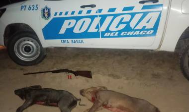 DOS DETENIDOS POR CAZA ILEGAL EN LA ZONA RURAL