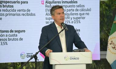 DELGADO SOBRE REDUCCIÓN DE ALÍCUOTAS DE INGRESOS BRUTOS: “VAMOS A TRABAJAR PARA PROPICIAR LAS HERRAMIENTAS DE ALIVIO PARA LOS CHAQUEÑOS”