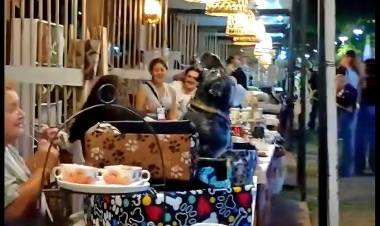 SE REALIZÓ EXITOSAMENTE LA 1º EXPO DEL EMPRENDEDOR CHAQUEÑO A CIELO ABIERTO