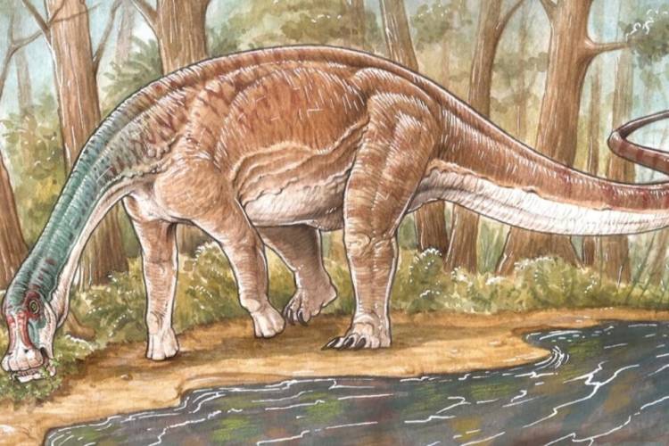 CIENTÍFICOS DEL CONICET DESCUBRIERON UNA NUEVA ESPECIE DE DINOSAURIO TITANOSAURIO 