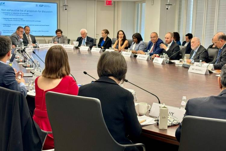 UN PAÍS A FAVOR Y CONTRA EL FMI