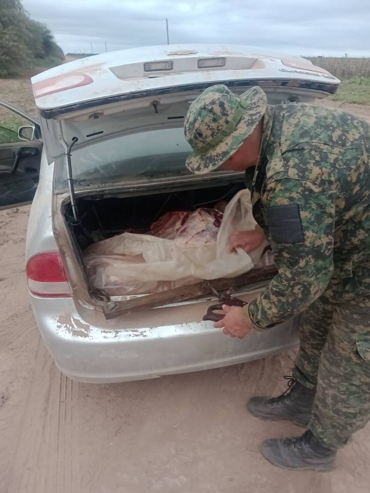DEMORADO CON MÁS DE 100 KILOS DE CARNE DENTRO DE SU AUTO 
