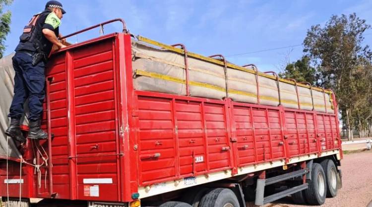 CAMINERA SECUESTRÓ UN CAMIÓN CON IRREGULARIDADES Y UN AUTO ADULTERADO EN CHARATA