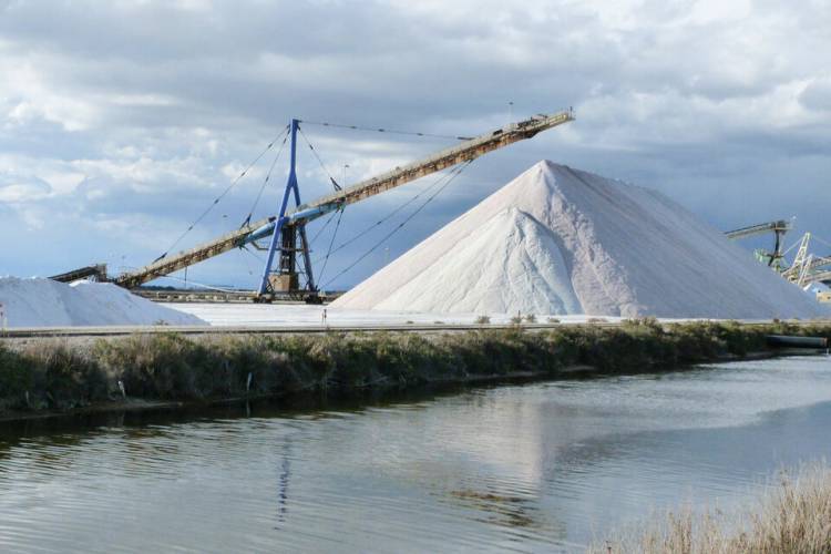 GRANDES EMPRESAS SIN CEPO Y UN PAÍS SIN DÓLARES