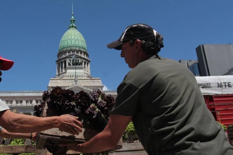 "NO HAY NINGUNA PERSPECTIVA DE GENERAR EMPLEO NI REGISTRAR AL TRABAJO DE LA ECONOMÍA INFORMAL"