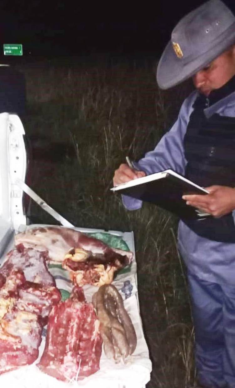  DEMORARON A UN HOMBRE QUE TRANSPORTABA CARNE SIN AUTORIZACIÓN