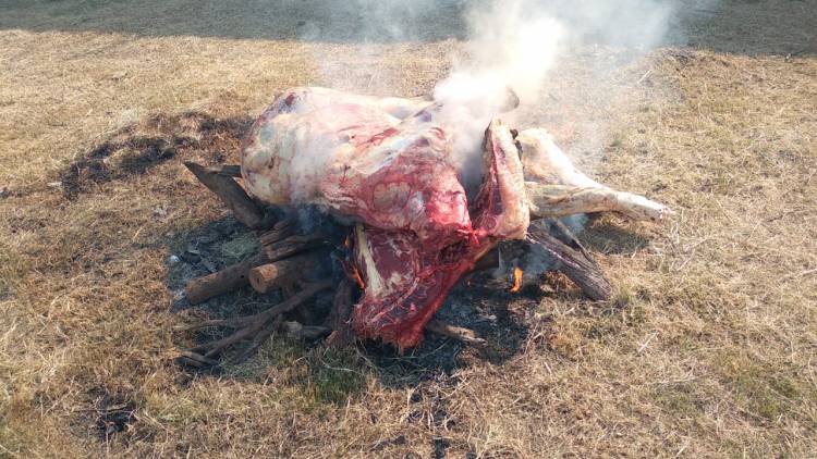 SAMUHU: LA POLICÍA SECUESTRO "CARNE NO APTA PARA EL CONSUMO HUMANO"