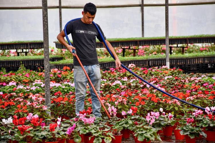 FORMACIÓN LABORAL: SE REALIZÓ LA CAPACITACIÓN “SEMBREMOS FUTURO” EN LA ESCUELA DE JARDINERÍA N° 13