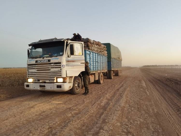 50 TONELADAS DE ROLLOS DE MADERA FUERON INCAUTADOS
